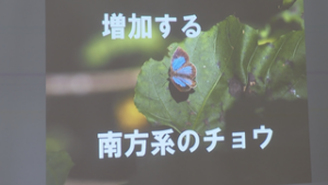 信州昆虫資料館で講演会　自然環境の変化がチョウに影響　青木村