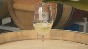 推しのワイン　ナゴミ・ヴィンヤーズ　東御市和