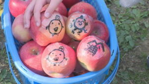 浦里小学校４年生　リンゴを通して地域発信　上田市浦野