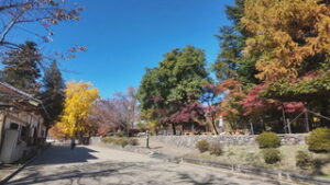 上田城跡公園　色とりどりに紅葉進む