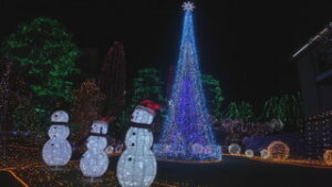 エクステリアマート東御店　「水の世界」テーマにイルミネーション