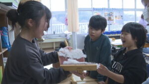 ５年生が挑戦　育てた綿で糸を紡ぐ　上田市立長小学校