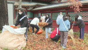 上田短期大学の学生ボランティア　生島足島神社の落ち葉はき