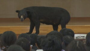 ２０２５年をふりかえる　クマ目撃増加と地域の動き
