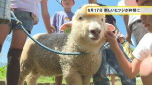 ２０２５年をふりかえる　ＵＣＶ社員が選んだほっこりニュース