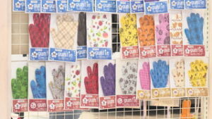信州大学繊維学部の学生　ハナサカ軍手ィ販売会　アリオ上田