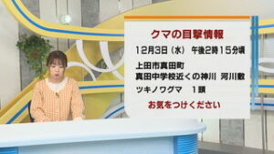 上田市真田町でクマの目撃情報