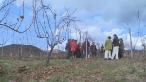 栽培技術の底上げへ　ワイン用ブドウの剪定学ぶ研修会　東御市祢津