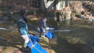 村の特産品に付加価値を　タチアカネ　寒晒そばづくり　青木村田沢