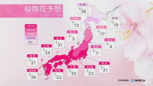 ２０２６年桜開花予想　長野県の開花は平年より早め