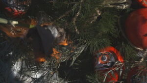 まるっと０２６８　・坂城町上五明　左義長祭　・史跡上田城跡　発掘調査・古写真解析現地説明会