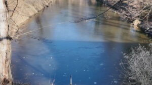 二十四節気　小寒