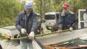 まるっと０２６８　２月１１日　岳の幟　ささら用の竹切り出し・花鳥風月展