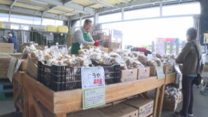 家庭菜園のシーズン　ジャガイモの種いもや葉洋菜並ぶ　上田市国分　ＪＡ信州うえだグリーンファーム中央店