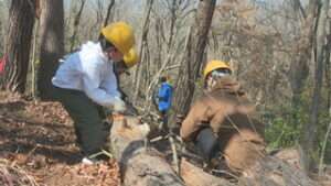 森林を整備　やまんばの森づくりプロジェクト　上田市下之郷乙