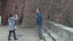 ��c��Ռ����@�V�_���U�N���E���}�U�N���J��