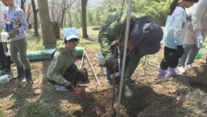 上田市　千曲公園１００周年　地元住民らがハナモモ植樹