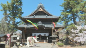 まるっと０２６８　４月８日　上田東高校　交通安全教室・信濃国分寺　花祭り・日本水彩画会上田支部展・ガソリン小売価格