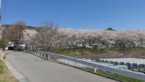 蚕影山花見小径　上田市神畑　