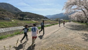 桜舞う中　青木村でマラソン大会　青木村総合運動公園