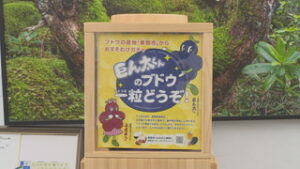 新人職員が提案　カプセルトイ　「巨ん太くんのブドウ一粒どうぞ！」　東御市役所