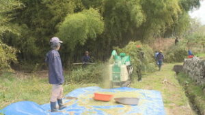 戸沢酒米プロジェクト　今年も酒米づくりに向け　竹藪の伐採　上田市真田町長