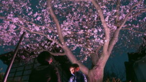 神畑商工振興会　光で彩る超誓寺の桜　上田市神畑