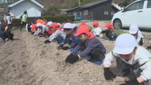 神科第一保育園　子どもたちがヤーコン植え　上田市住吉