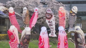 まるっと０２６８　４月１１日　・依田川に鯉のぼり泳ぐ　・ワイン＆ビアミュージアム 情報発信強化しリニューアル