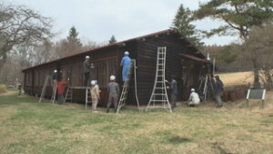 筑波大学山岳科学センター菅平高原実験所　文化財守るため　柿渋塗り　上田市菅平高原