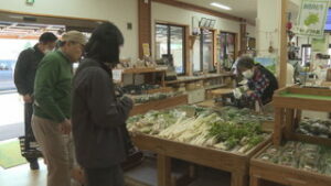 山菜シーズン到来　地域の直売所賑わう　上田市御岳堂