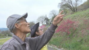 選手も応援の人も楽しく心地よく　太郎山登山競走に向け準備　上田市常磐城