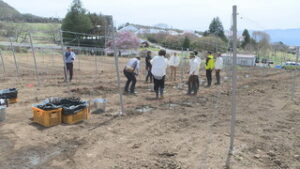 まるっと０２６８ ・東御市会員制ワイナリーでブドウの苗植え体験 ・タチアカネ二期作の種まき始まる ・JA信州うえだ教材本を贈呈