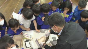 生態を学んで育てよう　上田市立城下小学校で蚕の授業