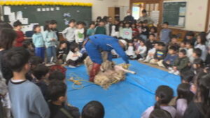 中塩田小学校　ヒツジのるるちゃん毛刈り見学　上田市