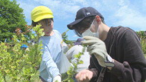 まるっと０２６８　６月１１日　園児とさくら国際高校の生徒がスグリを収穫・８月にサントミューゼでバレエ公演・二人展　森に潜む精霊たち・東御市議会一般質問