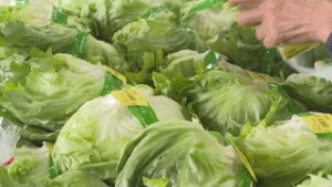 マルシェ国分　みずみずしい夏野菜並ぶ