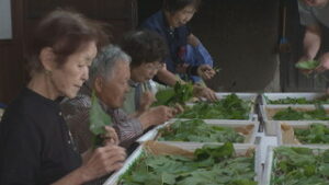 蚕を育てて地域ブランドに　上塩尻の住民有志が養蚕　上田市上塩尻