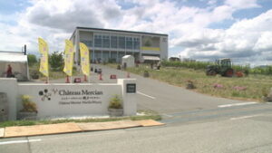 まるっと０２６８　６月６日　春の椀子マルシェ限定ワインを販売・青木村でチョウのモニタリング調査研修会・坂城町鉄の展示館で展覧会始まる