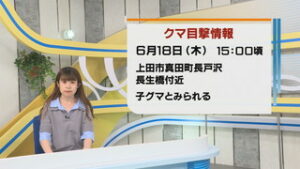 上田市真田町長戸沢　子グマ１頭の目撃情報