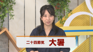 二十四節気　大暑