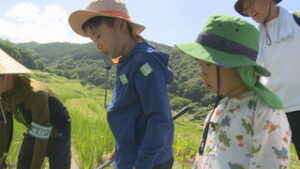 稲倉の棚田　夏の思い出に　自然観察会　上田市殿城