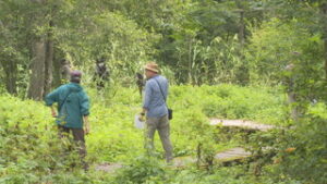 湿原の自然をじっくり観察　菅平湿原で自然観察会