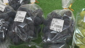 さかき地場産直売所あいさい　旬のブドウが並ぶ