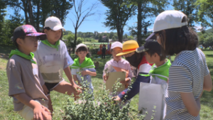 森林や自然への理解を深める　みどりの少年団交流集会　上田市菅平高原