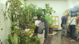 菅平の自然を体験　初開催　まちなか自然博物館　まちなかキャンパスうえだ