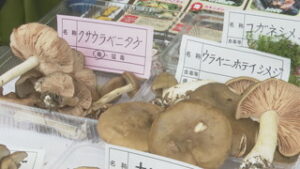 毒キノコに注意！　きのこ中毒防止展示会　上田市丸子農産物直売加工センターあさつゆ