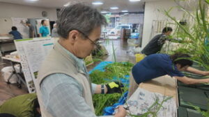 まるっと０２６８　９月４日　第１回まちなか自然博物館の準備・企画展「田淵行男とミヤマシロチョウ」