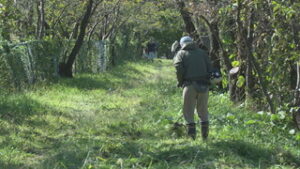 今後の利活用を検討　常田池　住民たちが草刈り　上田市常入
