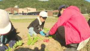 北御牧小学校　５年松組　北御牧の魅力を大根で伝える　東御市大日向　
